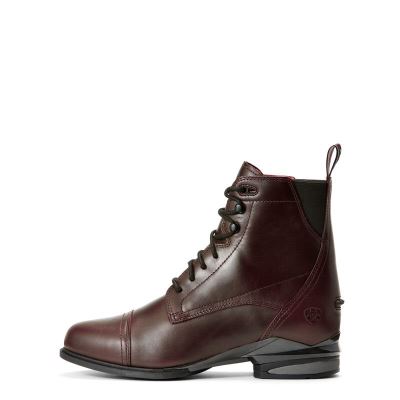 Ariat Performer Nitro - Paddock Laarzen Chocola Dames - 19120-624